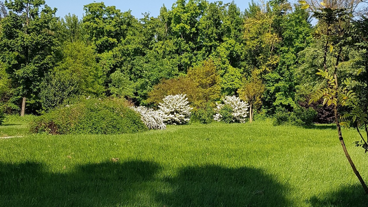 Photo of Outdoor in Fiesso d'Artico