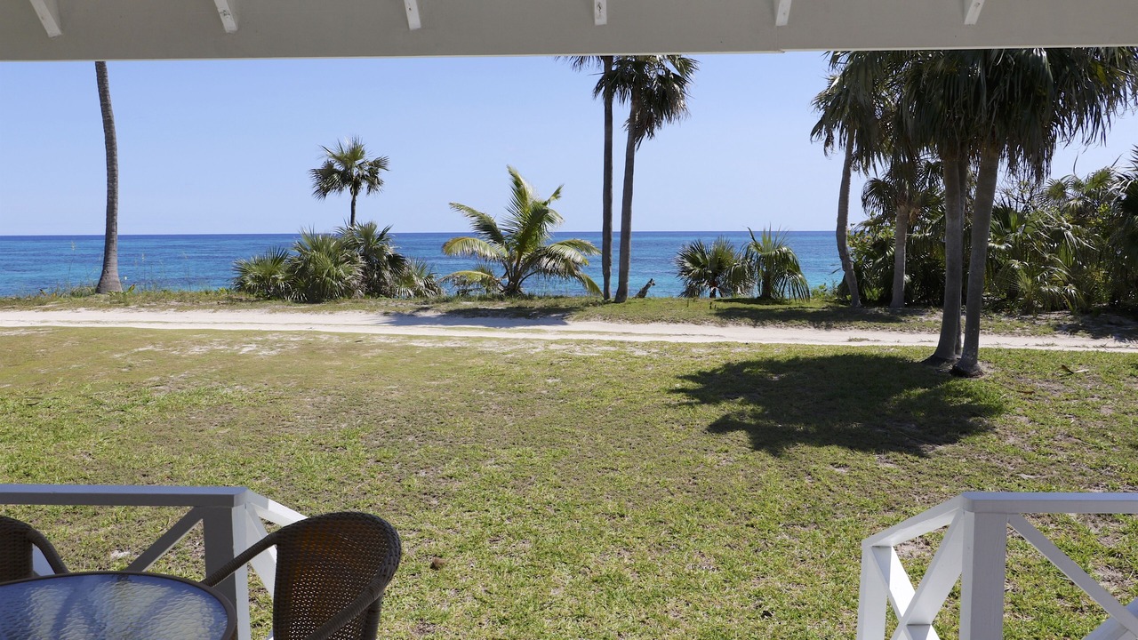 Photo of Others in North Palmetto Point