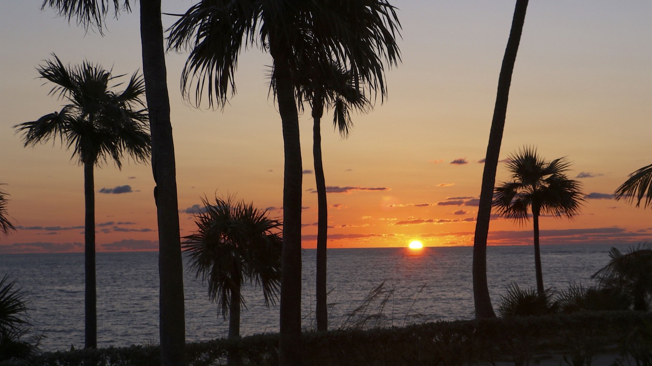 Photo of Others in North Palmetto Point