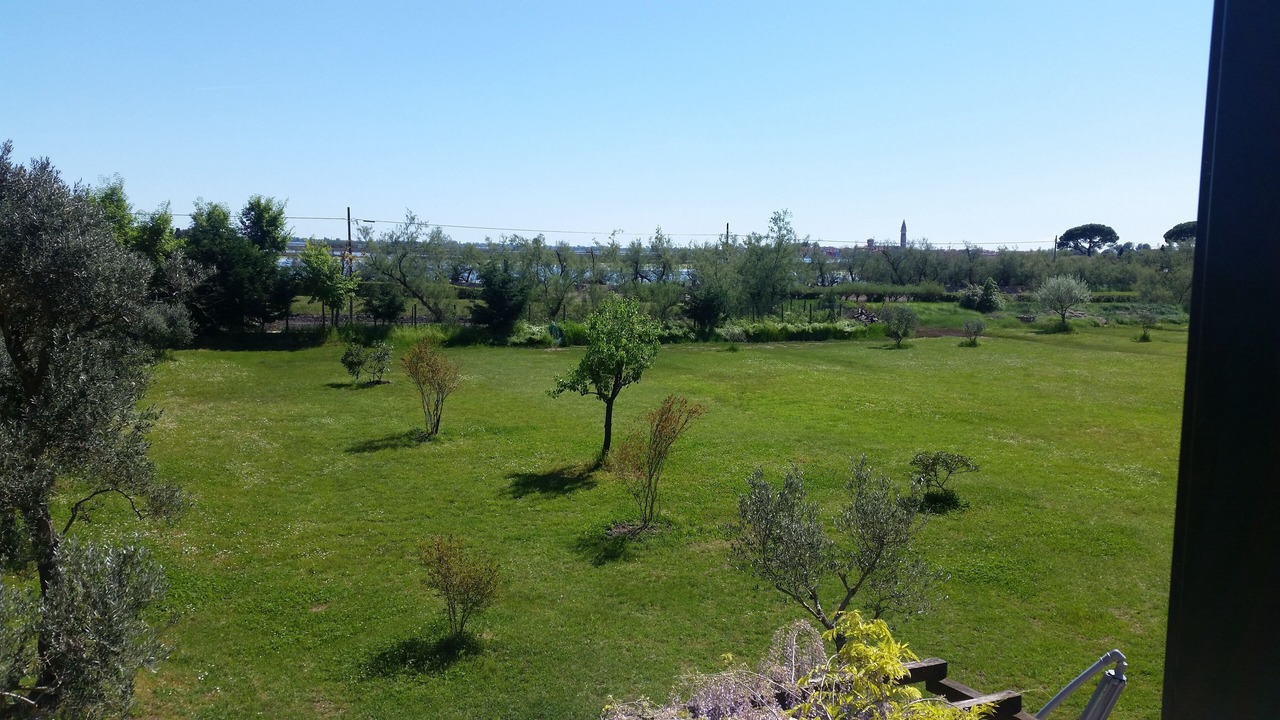 Photo of Others in Torcello