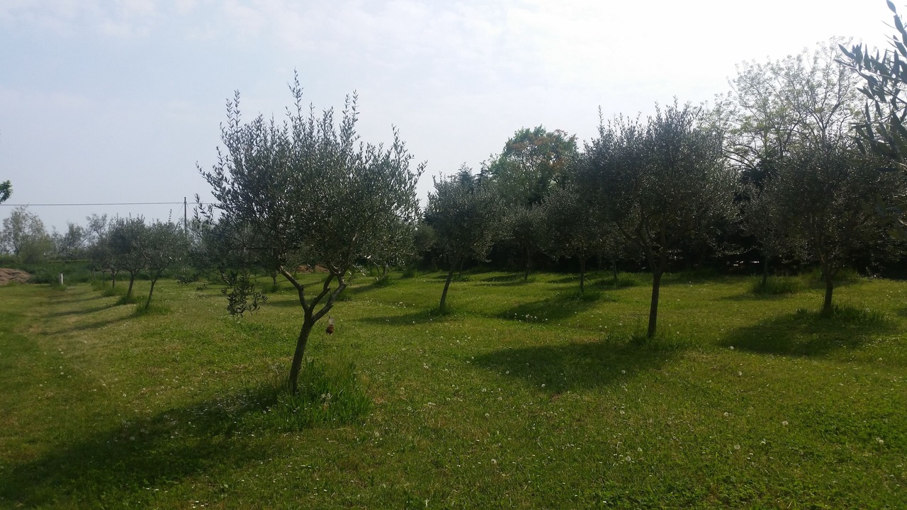 Photo of Outdoor in Torcello