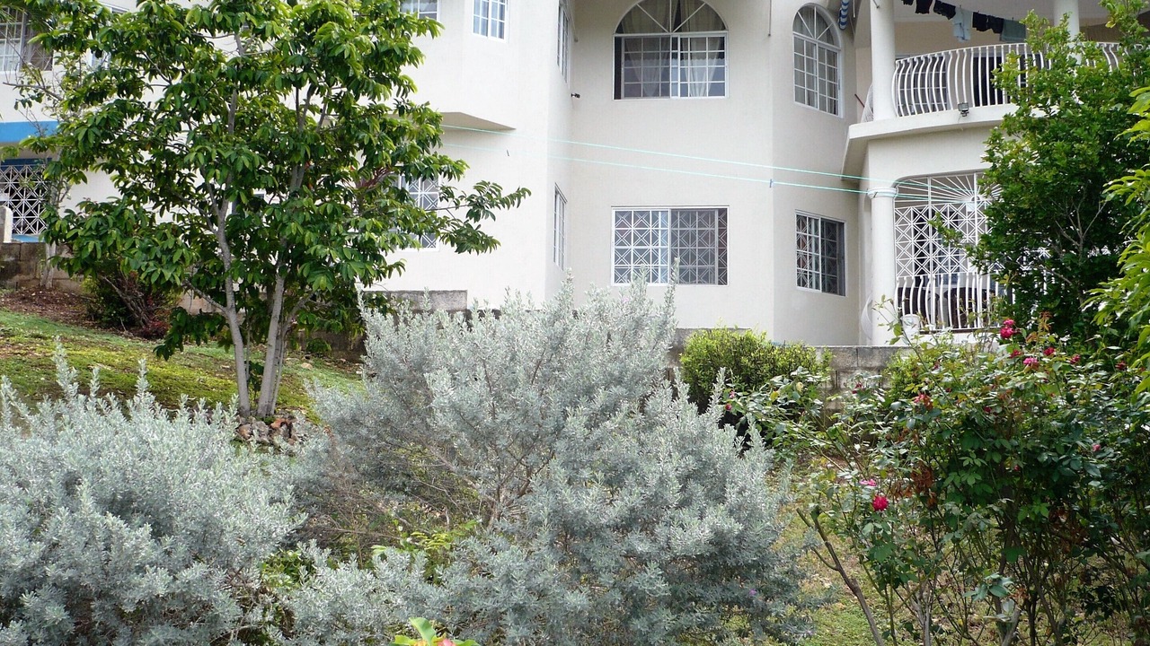 Photo of Outdoor in Discovery Bay