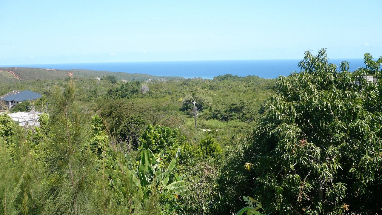 Photo of Others in Discovery Bay