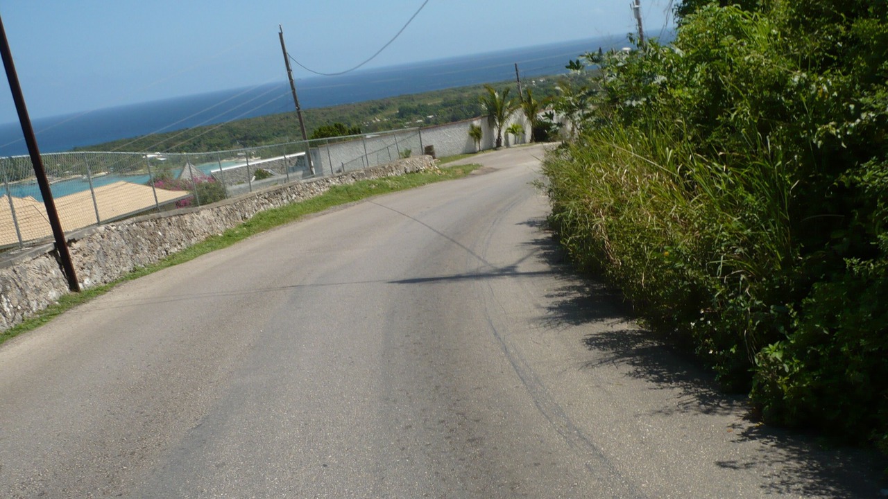 Photo of Others in Discovery Bay