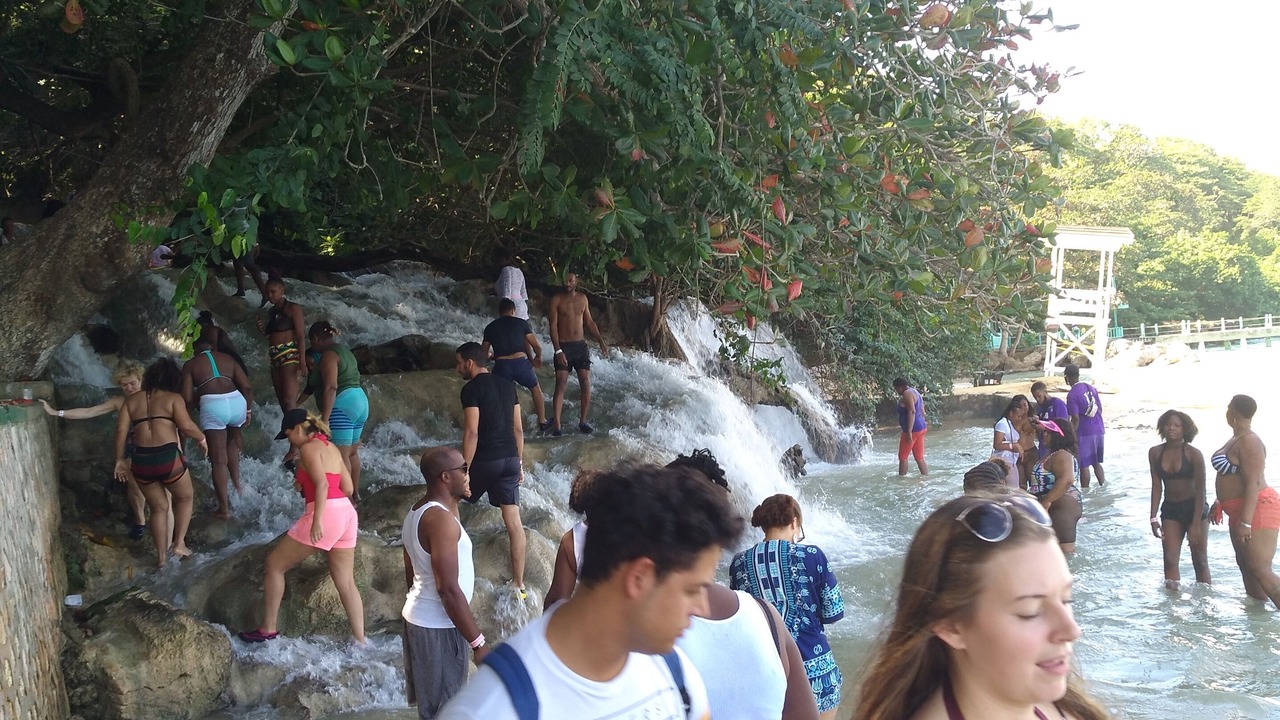 Photo of Others in Discovery Bay