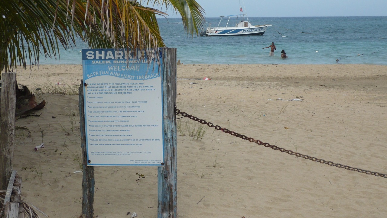 Photo of Others in Discovery Bay
