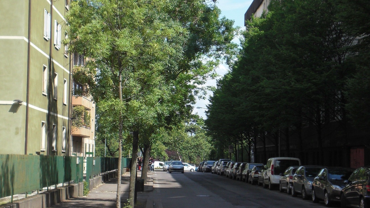 Photo of Others in Cittadella