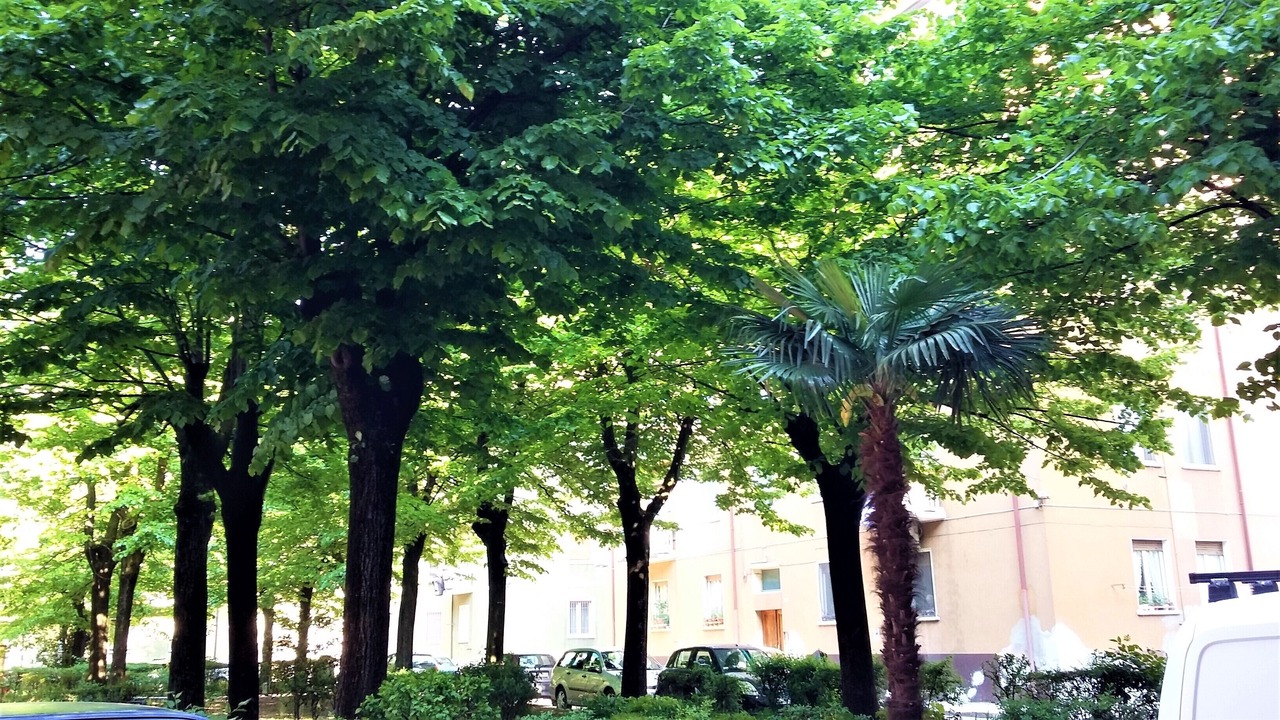 Photo of Outdoor in Cittadella