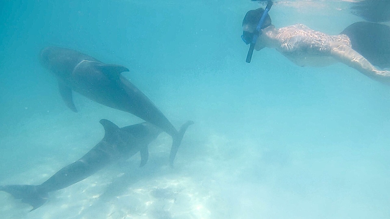 Photo of Others in Great Exuma