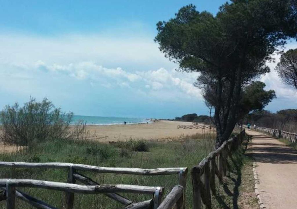 Photo of Others in Bibione Lido del Sole