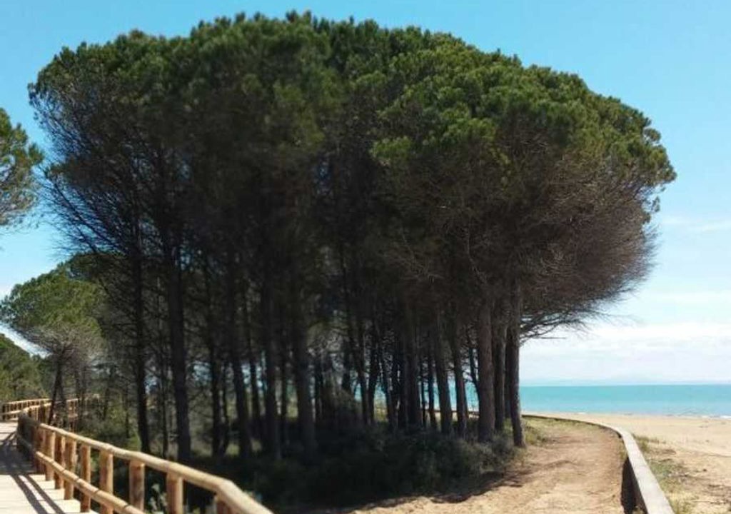 Photo of Others in Bibione Lido del Sole