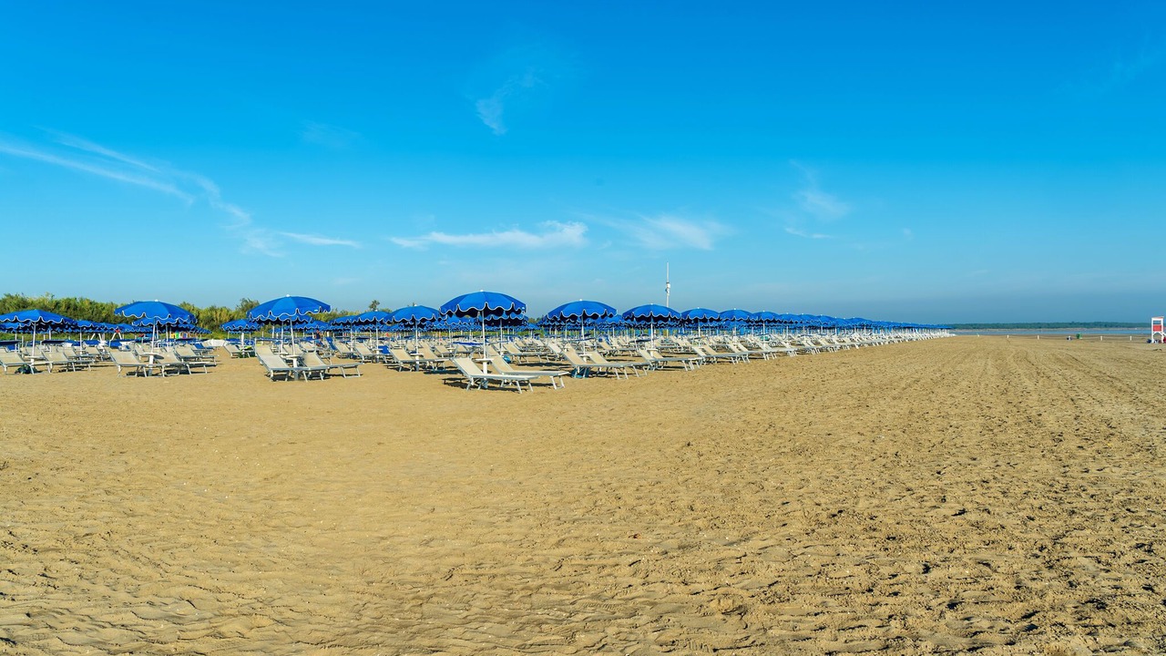 Photo of Others in Isola Albarella