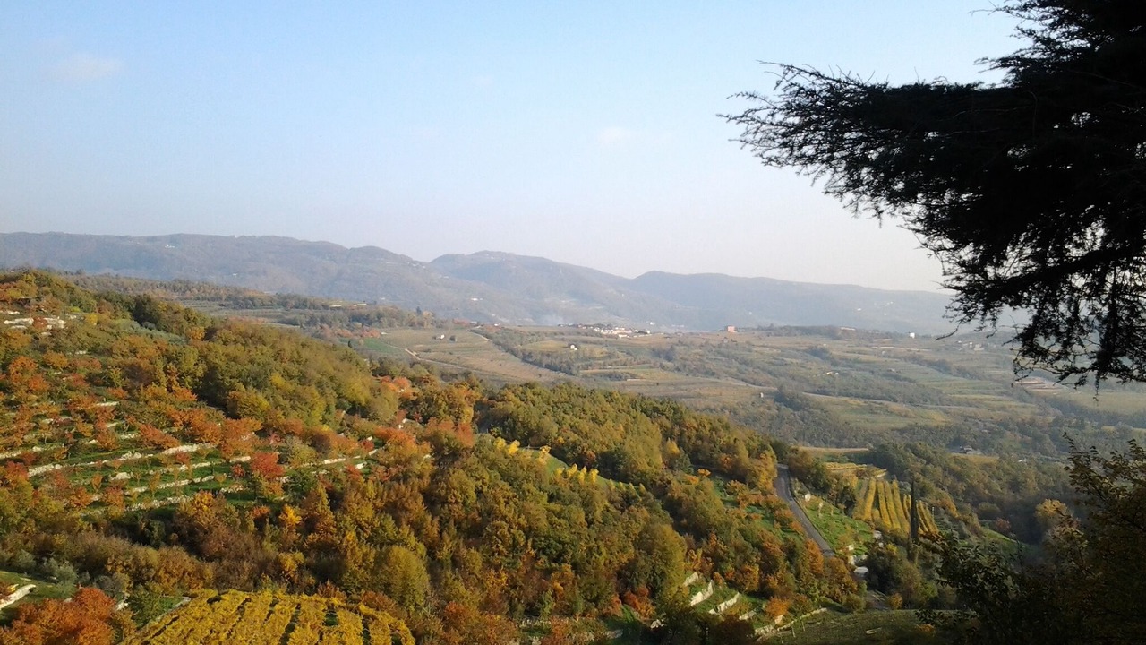 Photo of Outdoor in Marano di Valpolicella