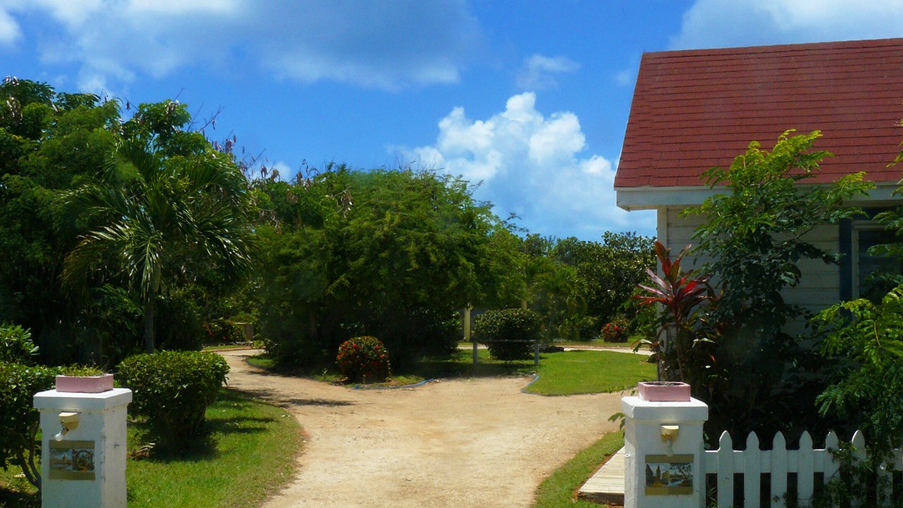 Photo of Others in Alice Town