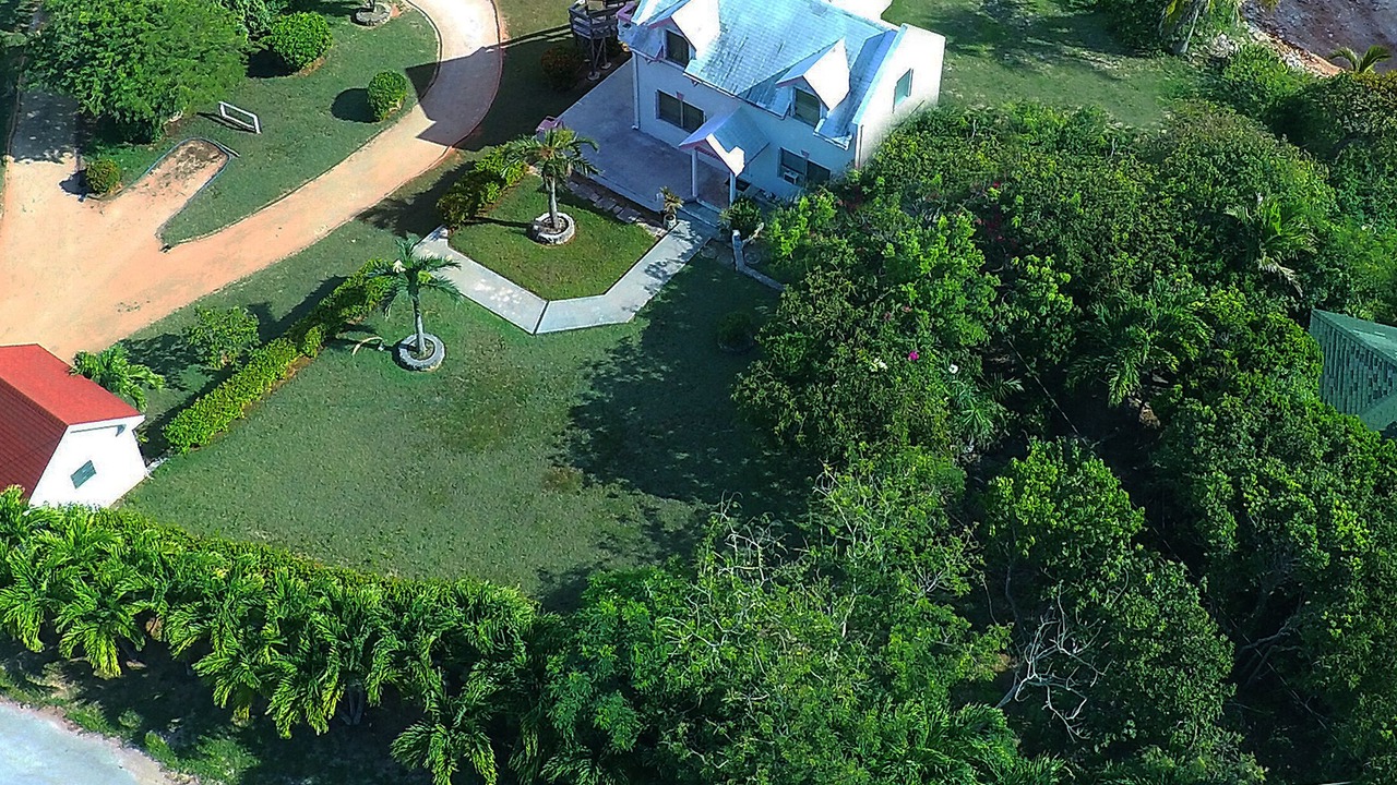 Photo of Outdoor in Alice Town