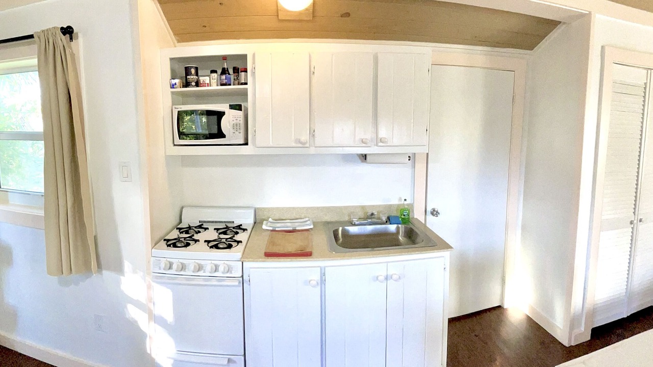 Photo of Kitchen in Alice Town