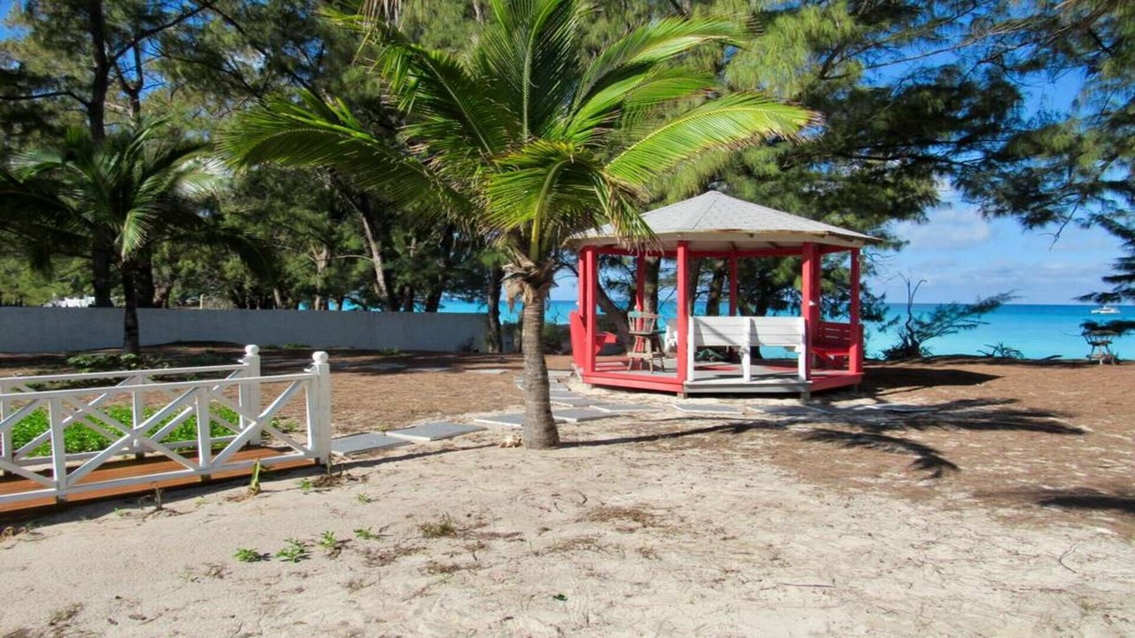 Photo of Outdoor in Alice Town