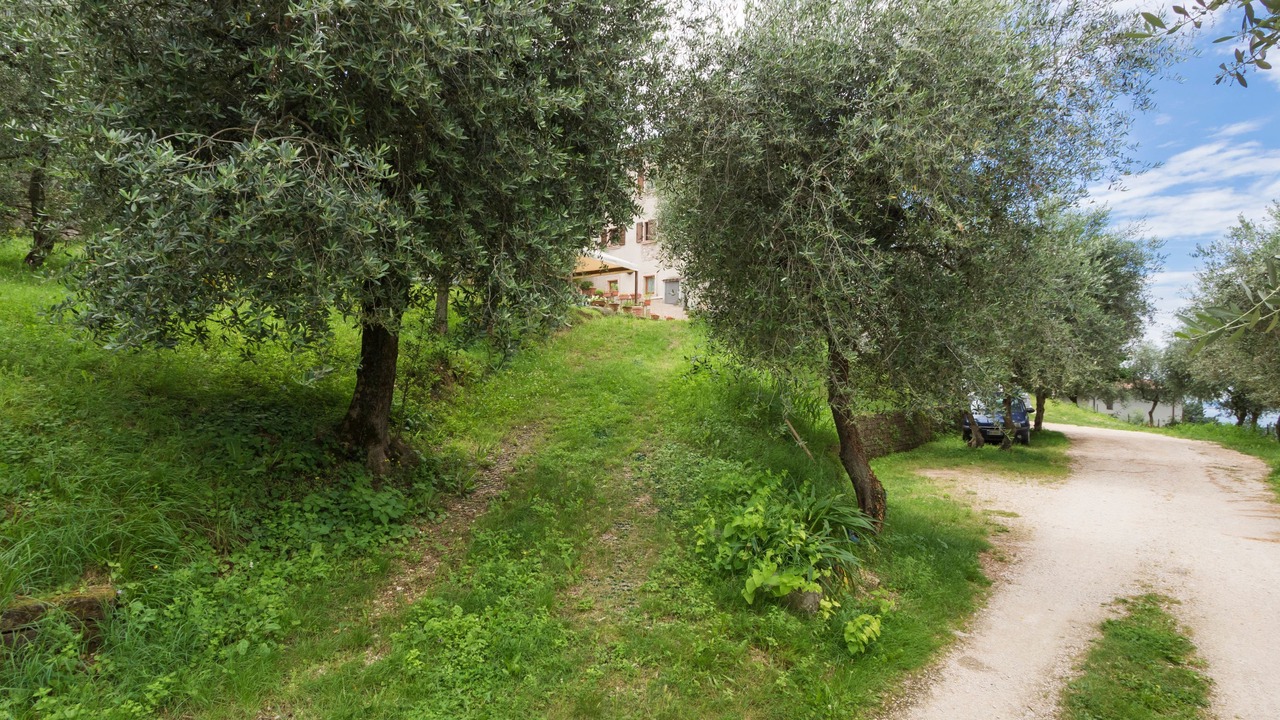 Photo of Outdoor in Albisano