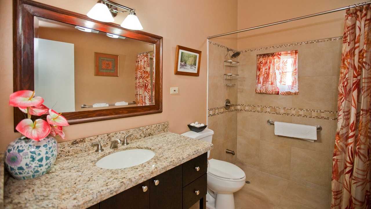 Photo of Bathroom in Rio Bueno
