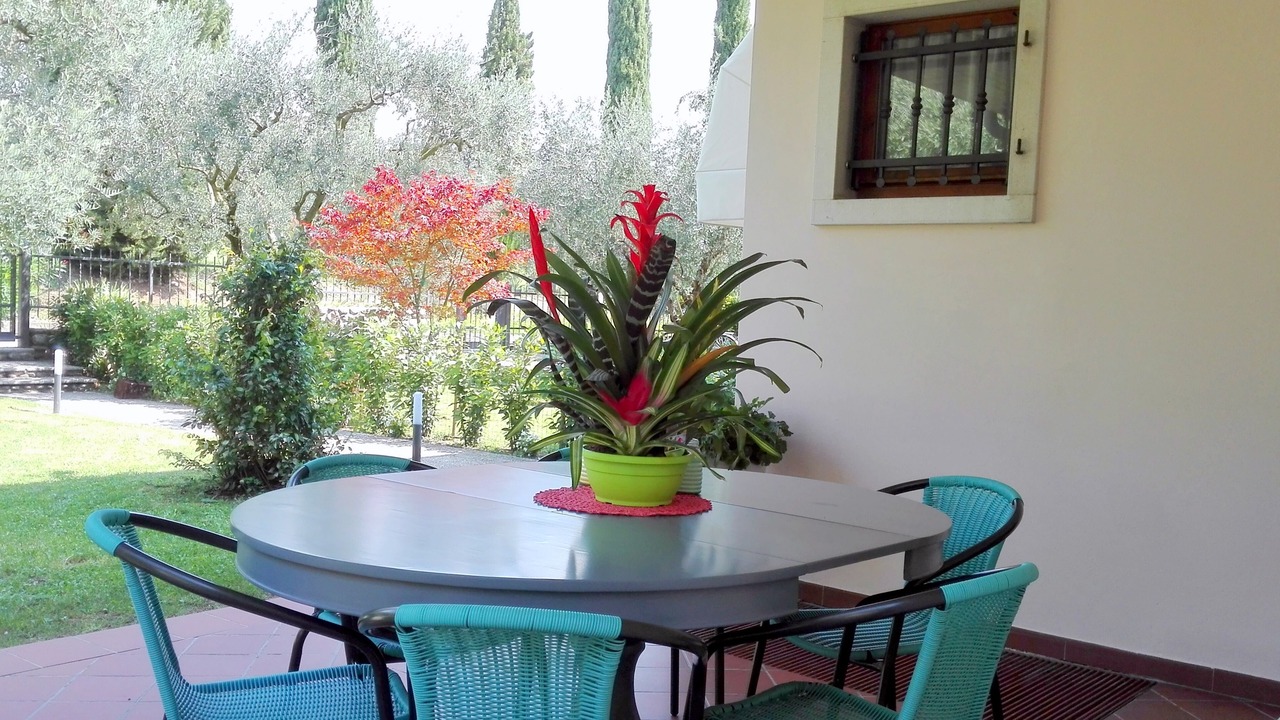 Photo of Outdoor in Montioni