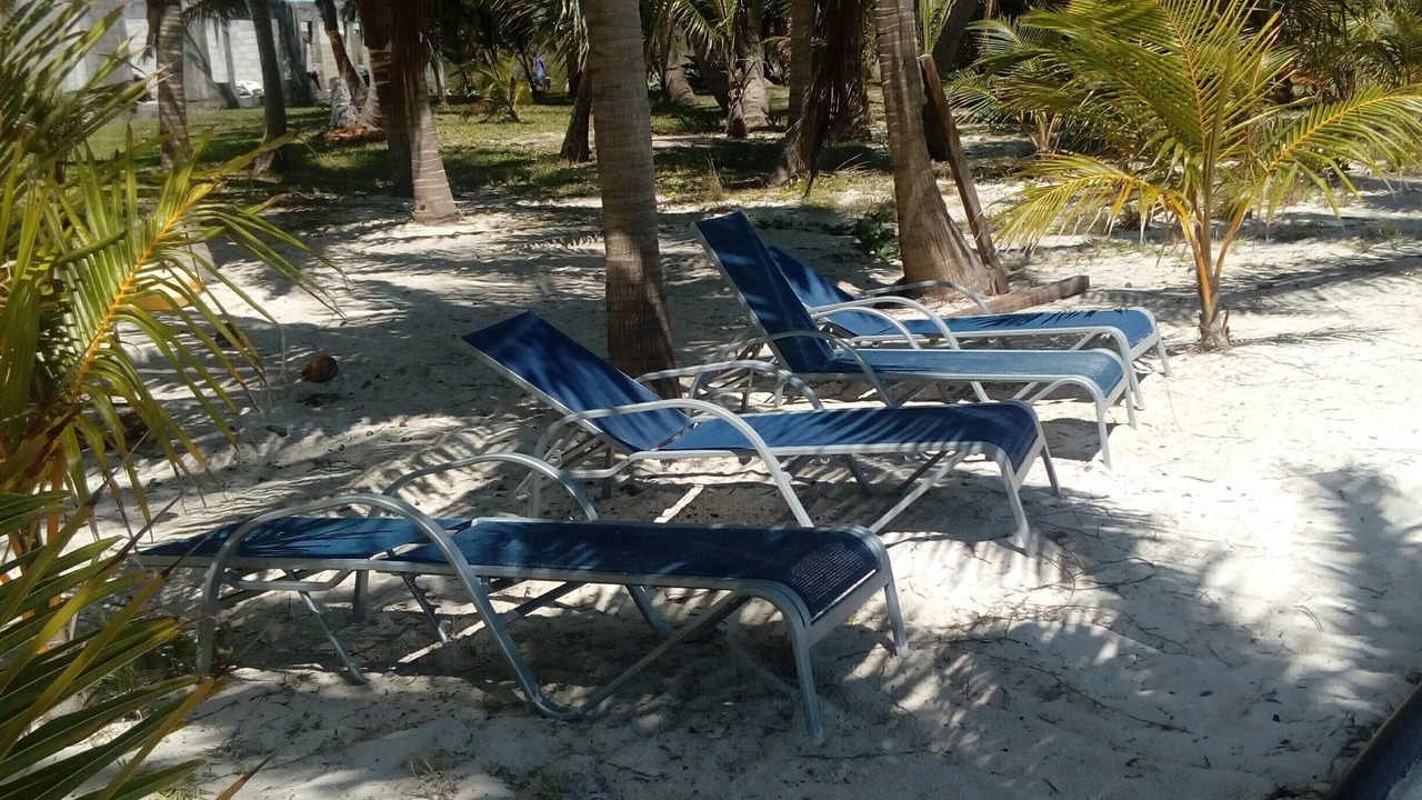 Photo of Outdoor in Rolleville