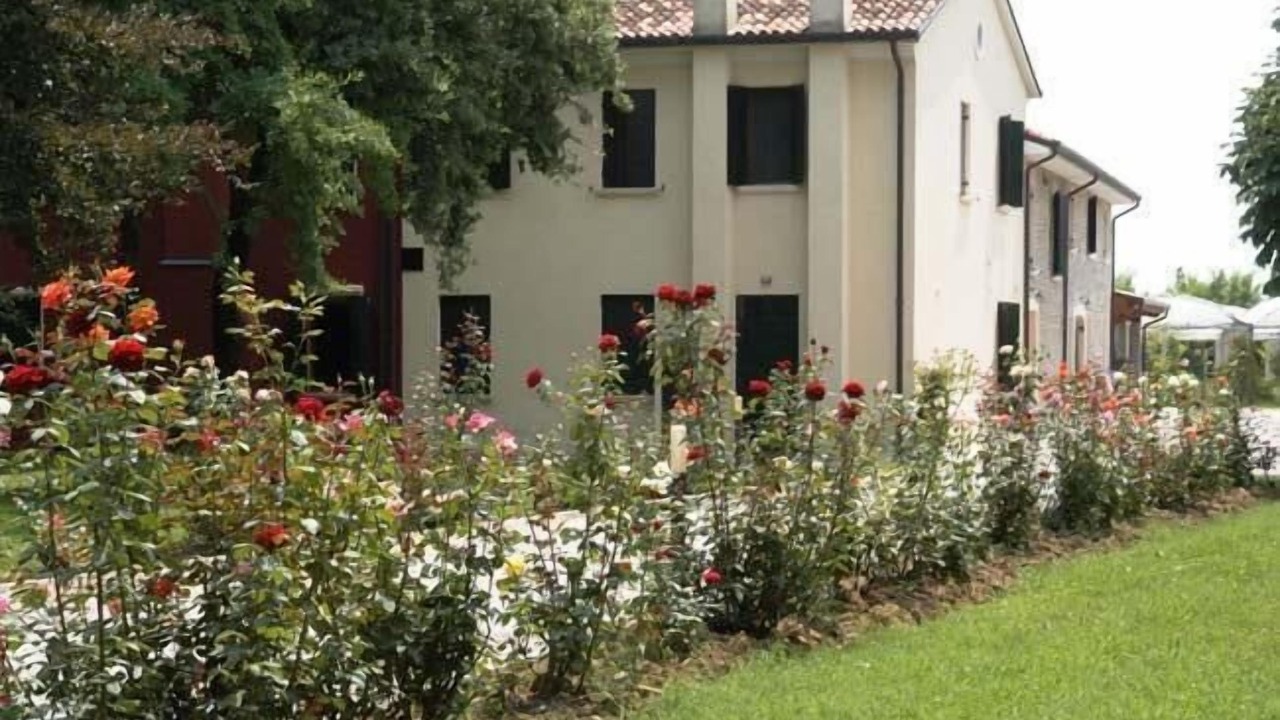Photo of Outdoor in Codogne