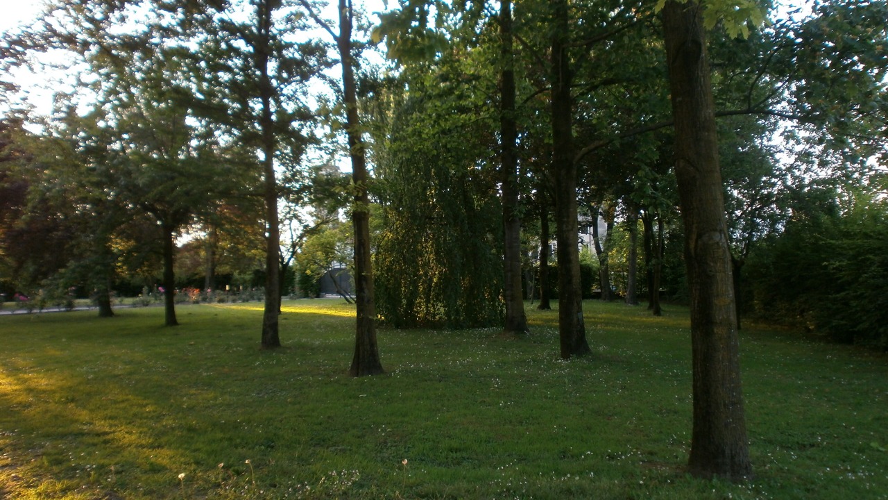Photo of Outdoor in Codogne