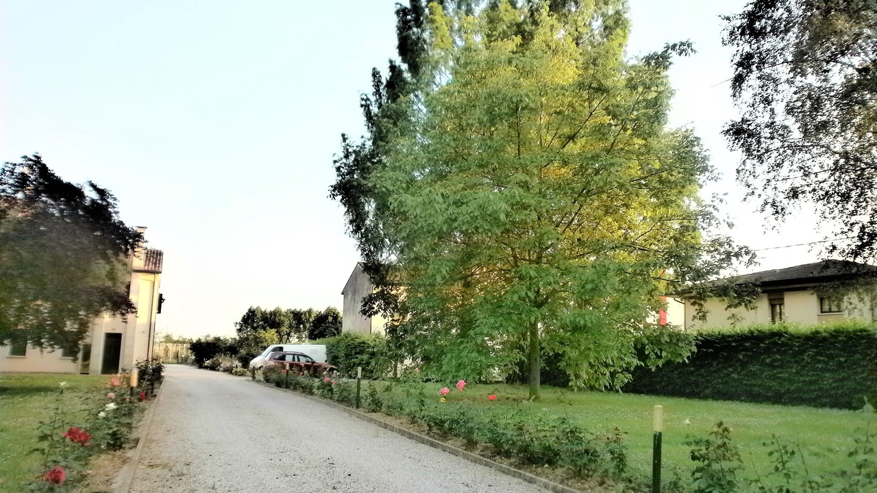 Photo of Outdoor in Codogne