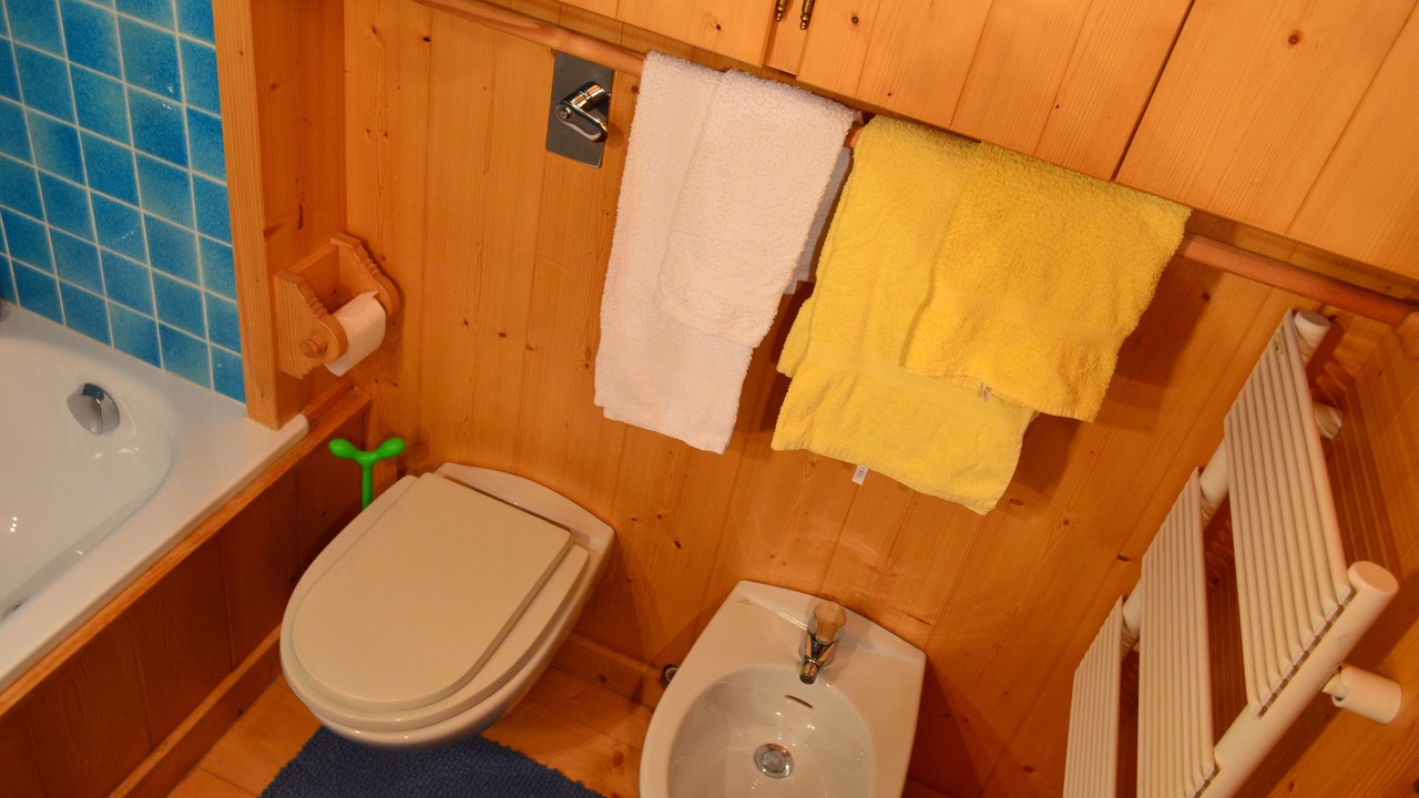 Photo of Bathroom in Cortina d'Ampezzo