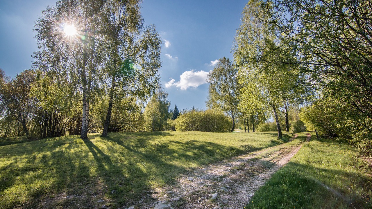 Photo of Outdoor in Belluno