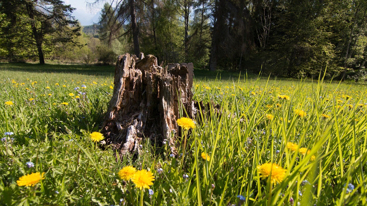 Photo of Outdoor in Belluno