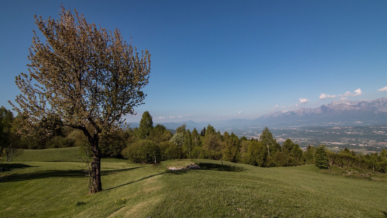 Photo of Others in Belluno