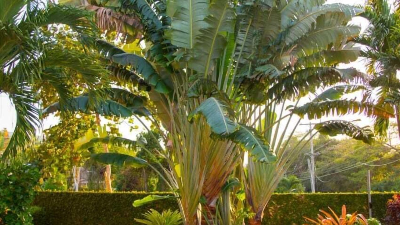 Photo of Outdoor in Runaway Bay
