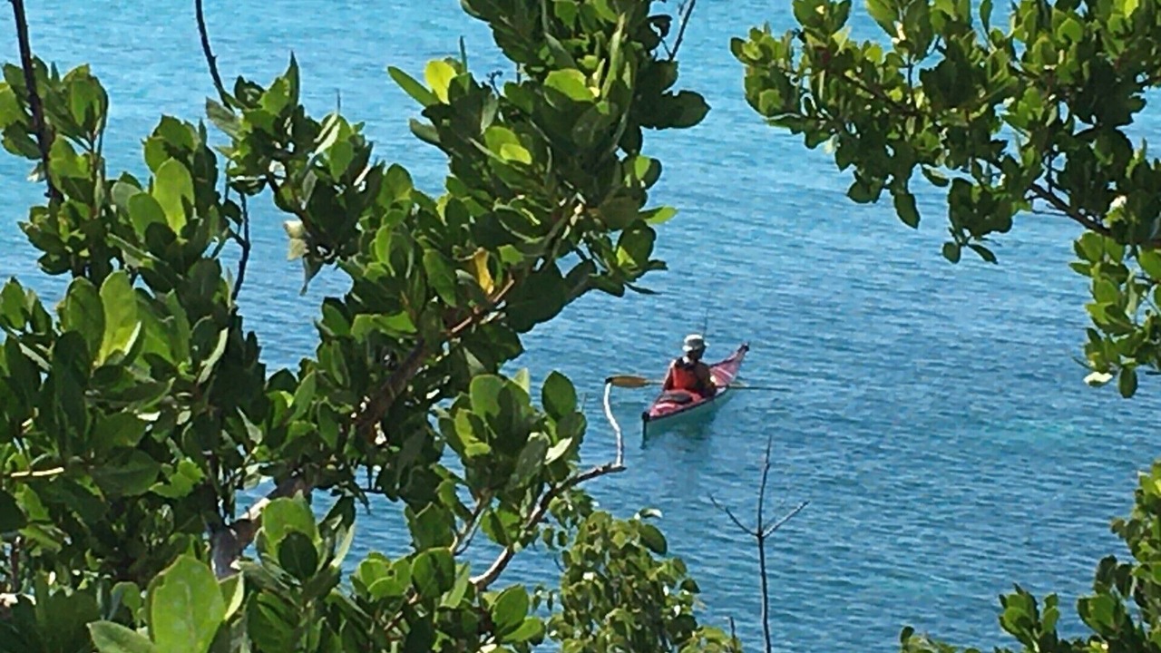 Photo of Outdoor in Green Turtle Cay