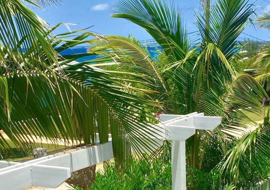 Photo of Outdoor in Rainbow Bay