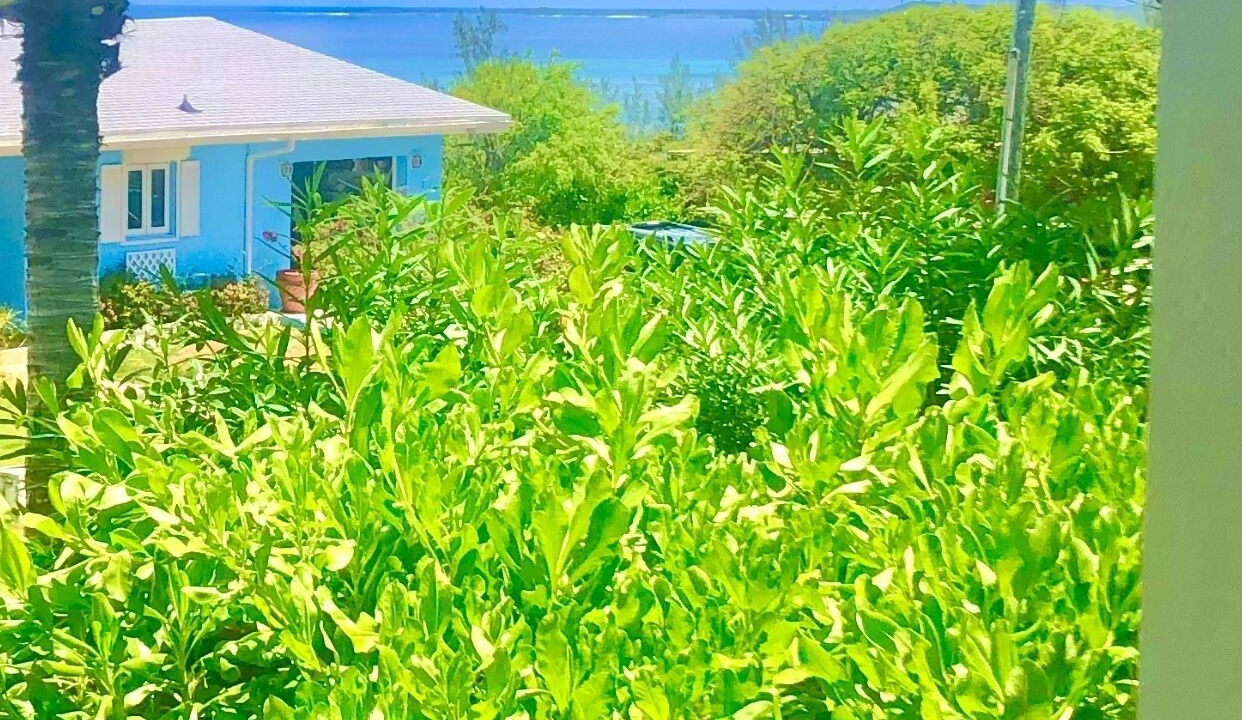 Photo of Outdoor in Rainbow Bay