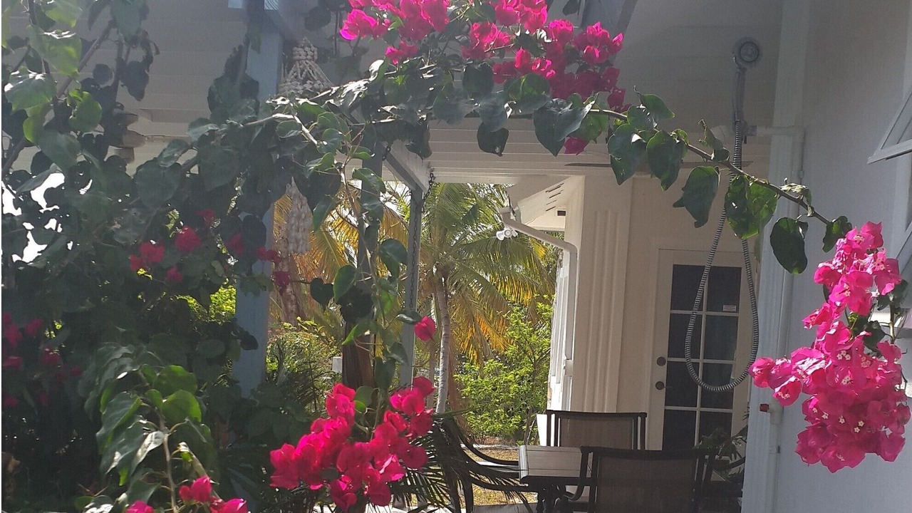 Photo of Outdoor in George Town