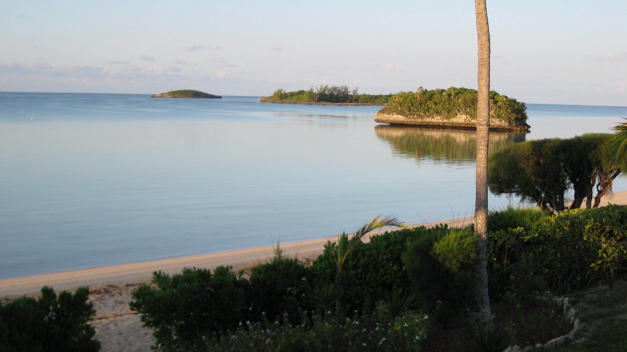 Photo of Others in South Palmetto Point