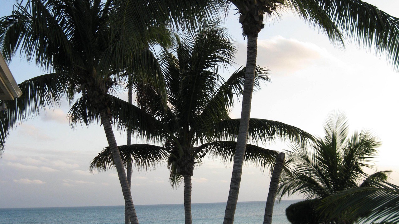 Photo of Others in South Palmetto Point
