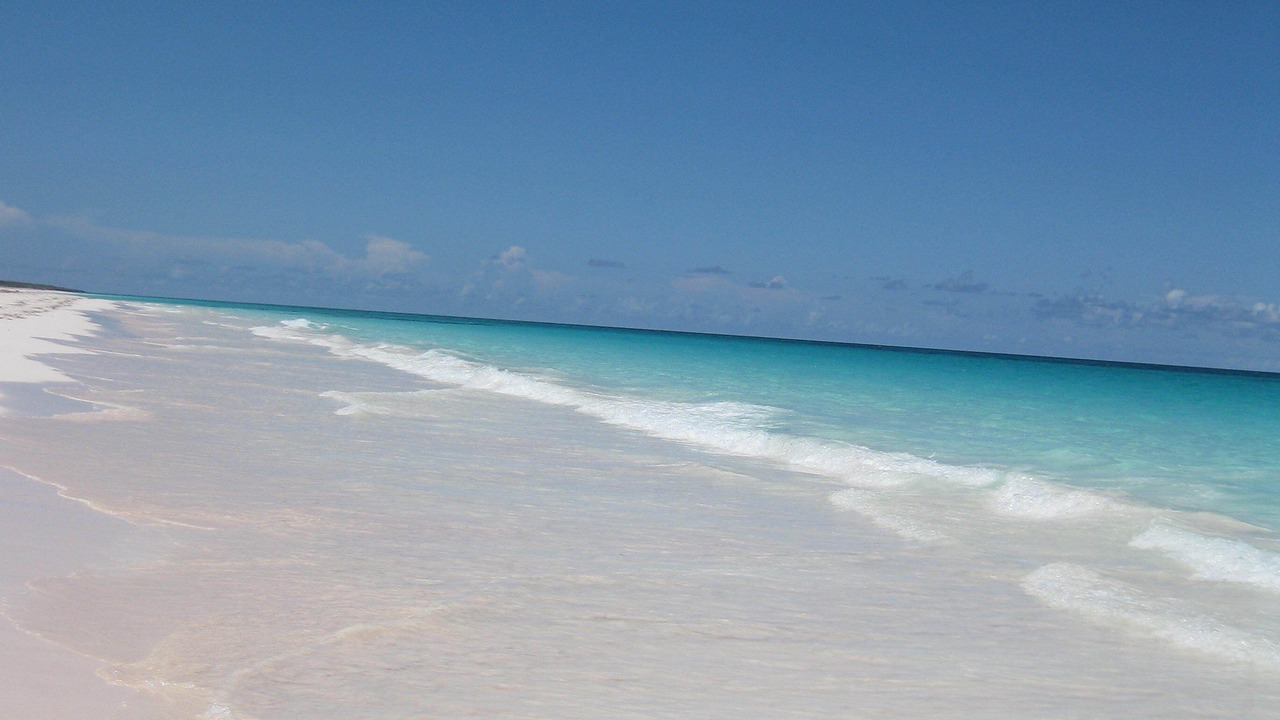 Photo of Others in South Palmetto Point