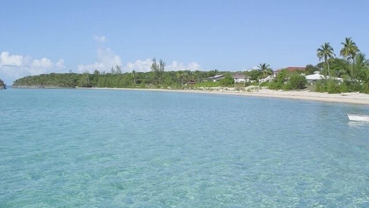 Photo of Others in South Palmetto Point