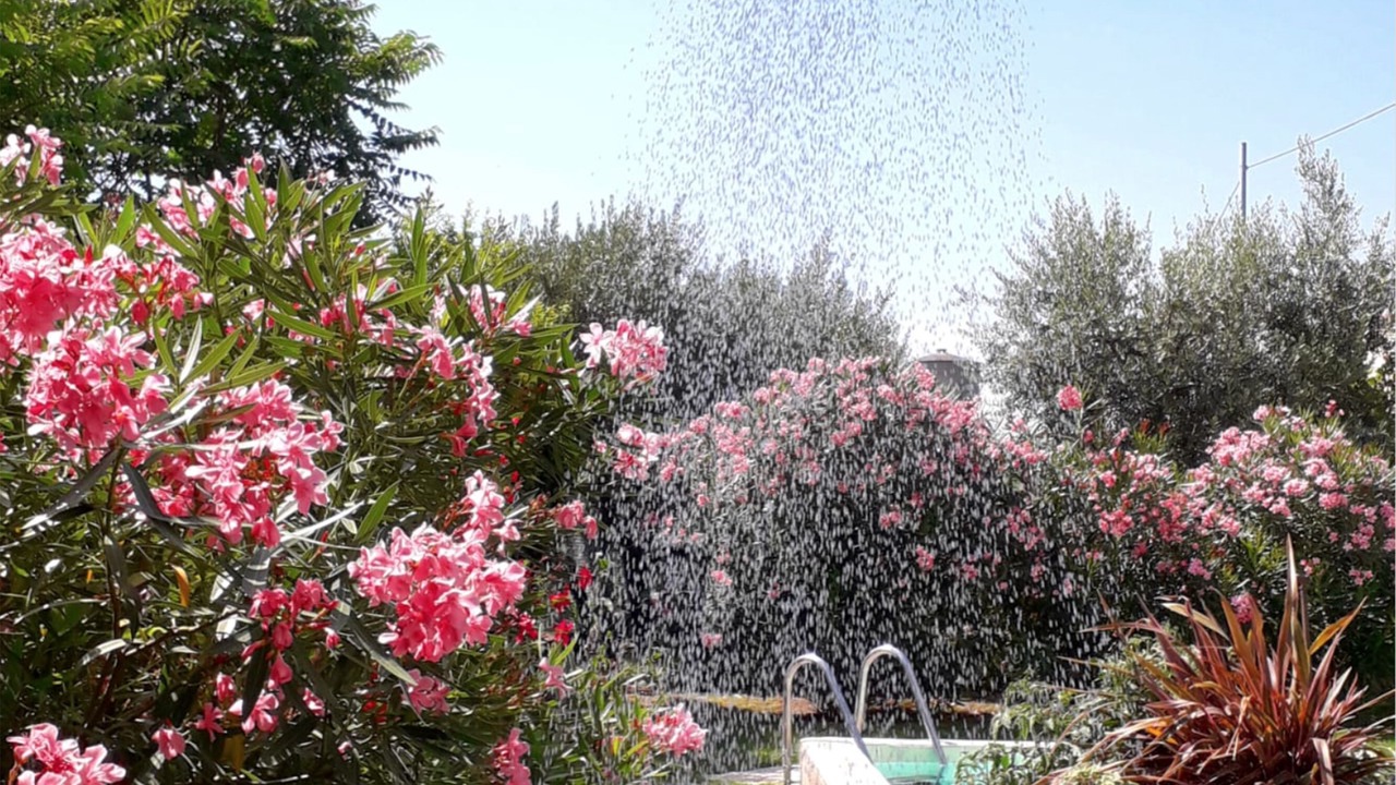 Photo of Outdoor in San Pietro in Cariano