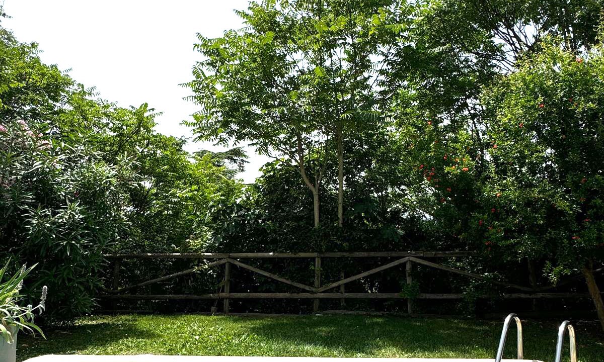 Photo of Outdoor in San Pietro in Cariano