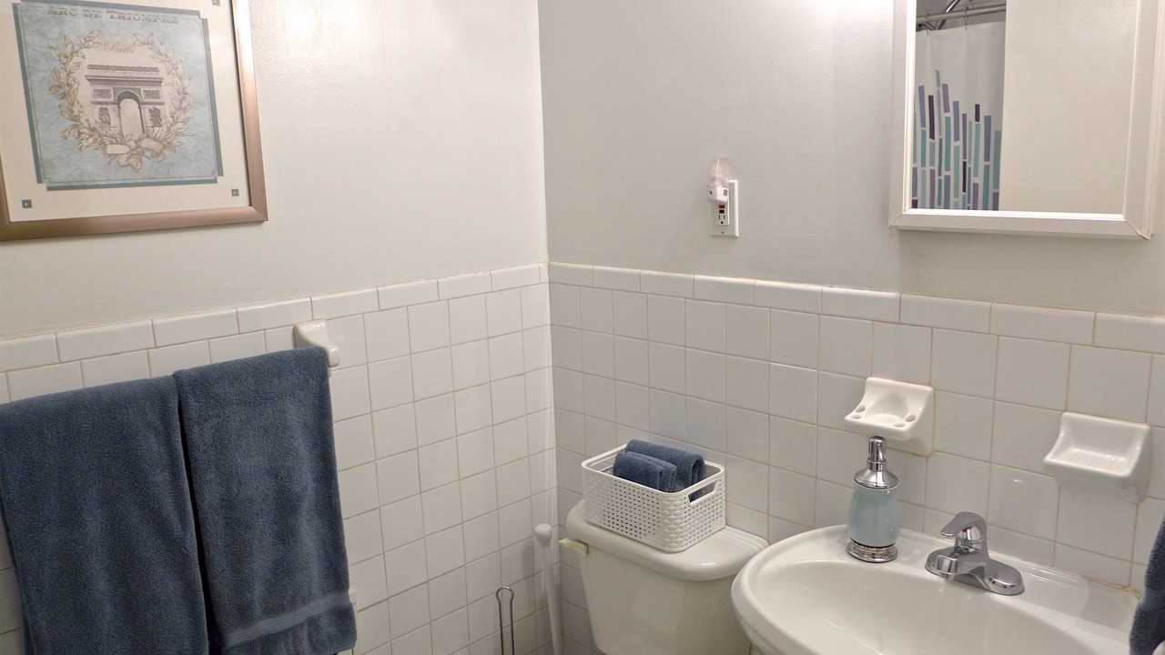 Photo of Bathroom in Harlem