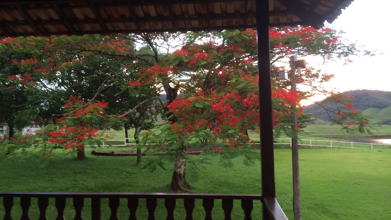Photo of Outdoor in Guapimirim