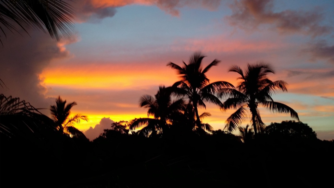 Photo of Outdoor in South Palmetto Point