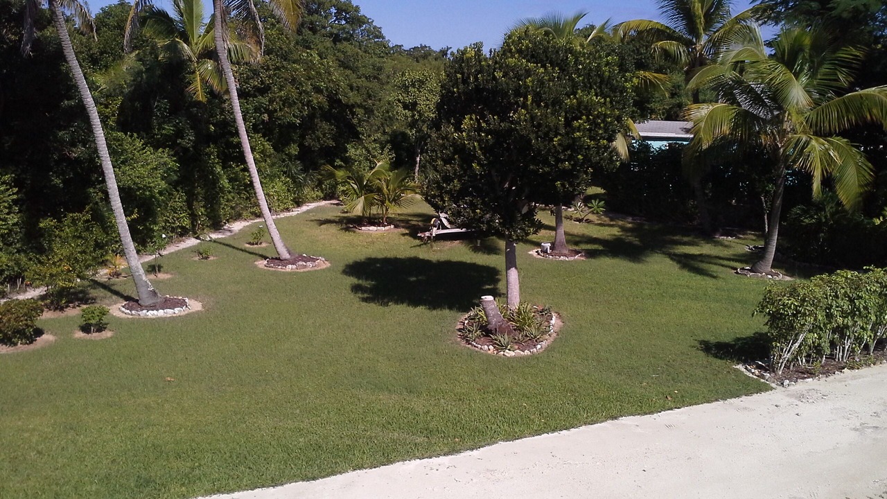 Photo of Others in South Palmetto Point