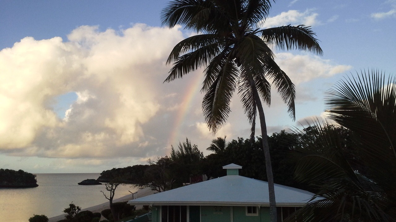 Photo of Outdoor in South Palmetto Point