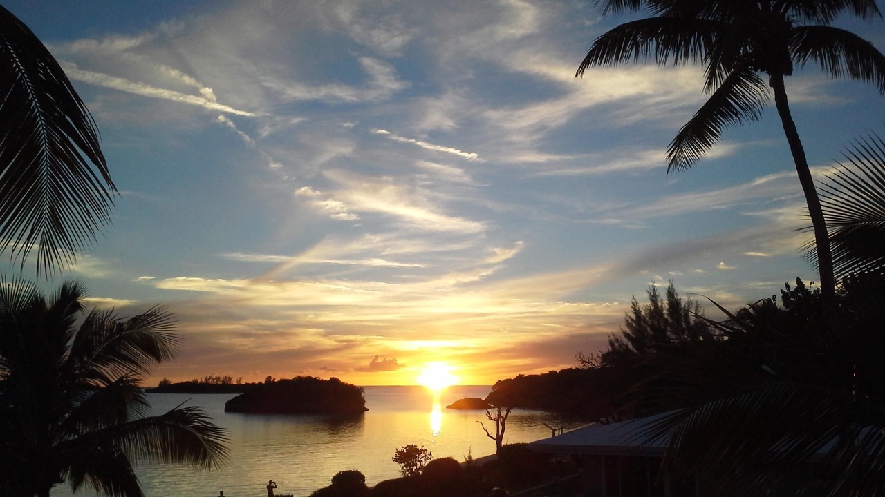 Photo of Outdoor in South Palmetto Point