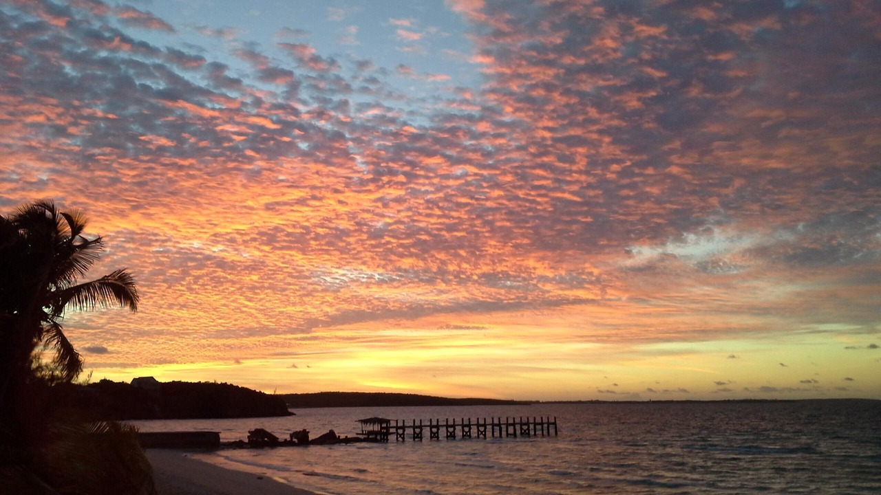 Photo of Others in South Palmetto Point